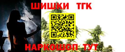 шишки Дубна