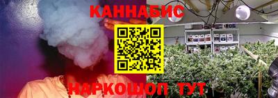 шишки Дубна