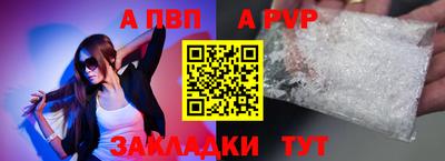 шишки Дубна