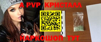 шишки Дубна