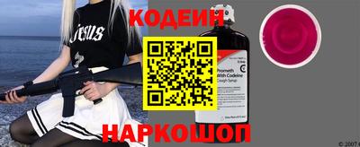 шишки Дубна