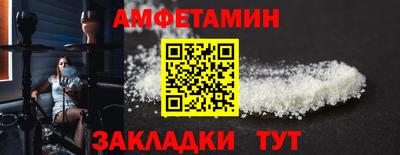 шишки Дубна