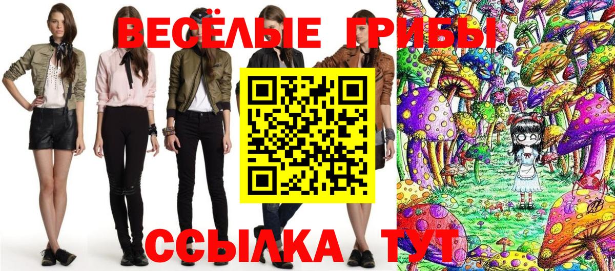 ГАШ Лысьва